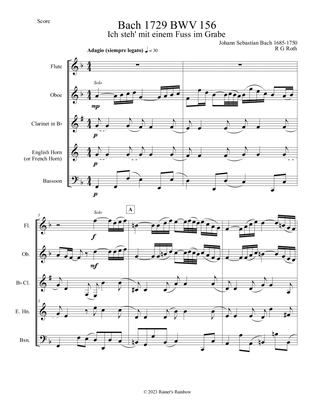Bach 1729 BWV 156 Adagio for Woodwind Quintet Parts and Score
