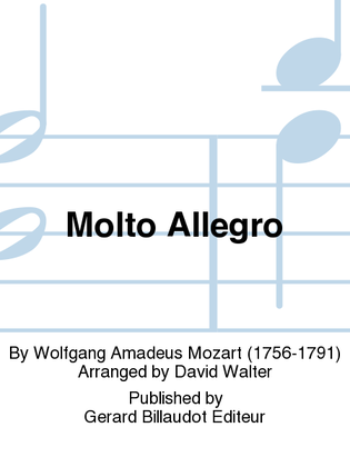 Book cover for Molto Allegro