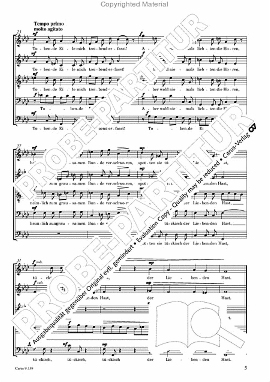 Gottwald: Five Lieder based on texts by Heinrich Heine Choir scores gallery preview page 6