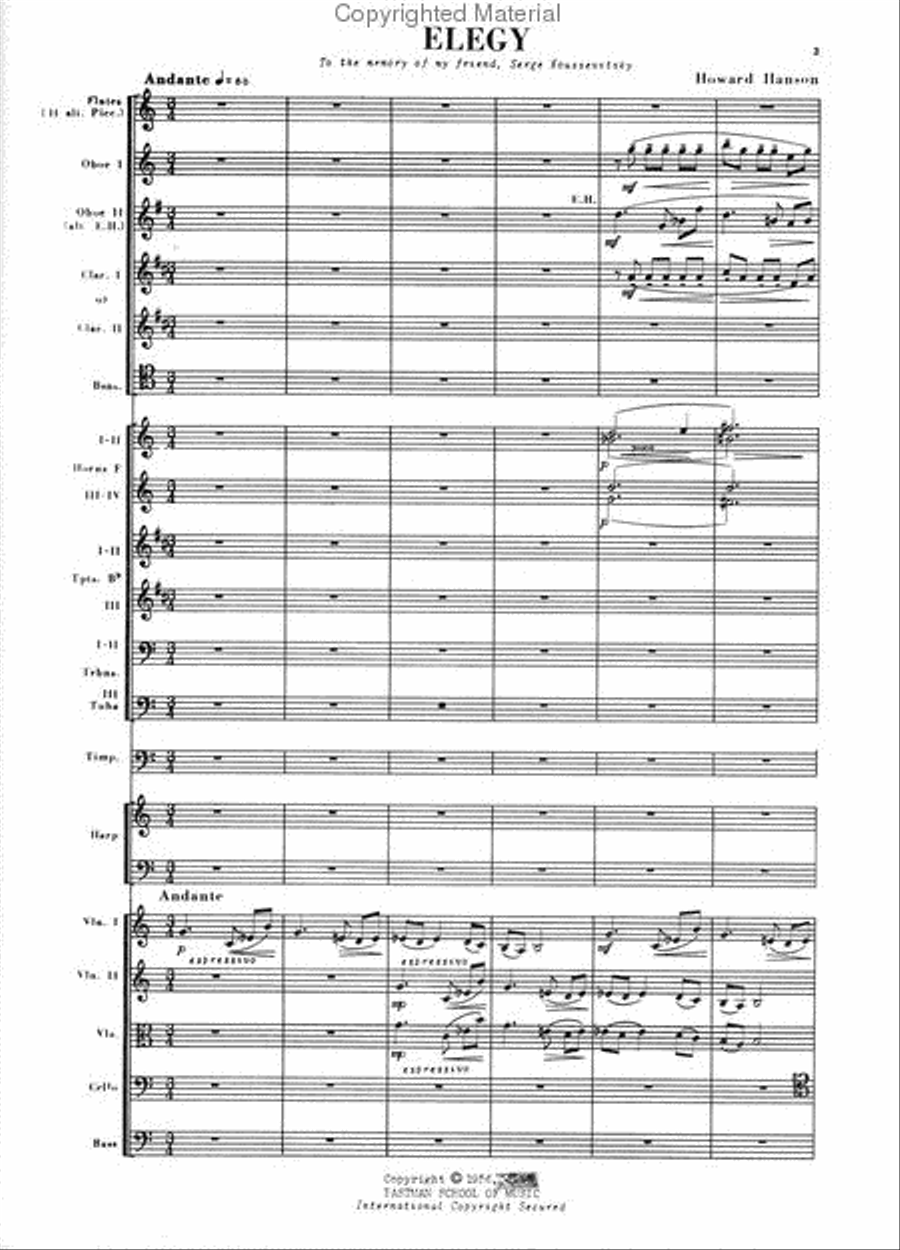 Elegy Orchestra scores gallery preview page 2