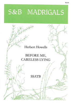 Book cover for Before me careless lying