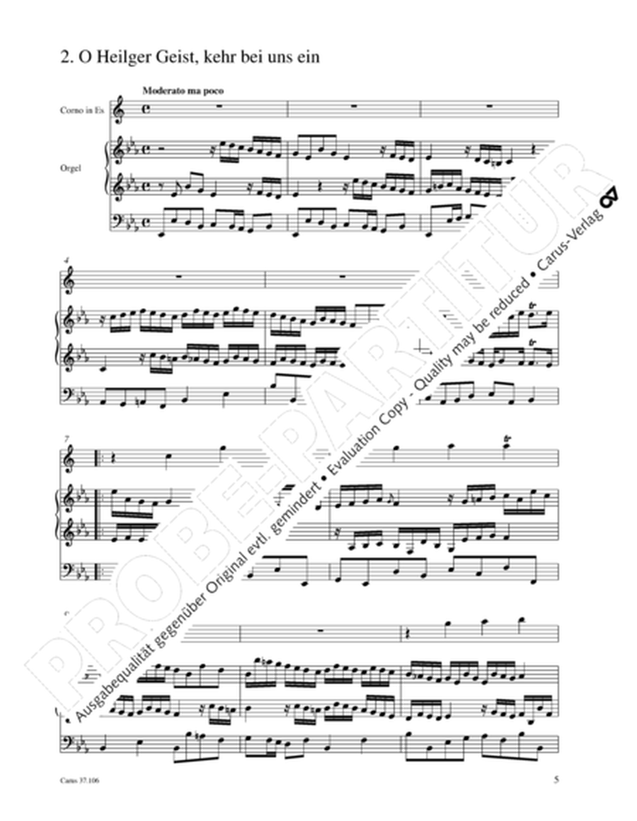 Complete Choral Preludes (Samtliche Choralvorspiele)