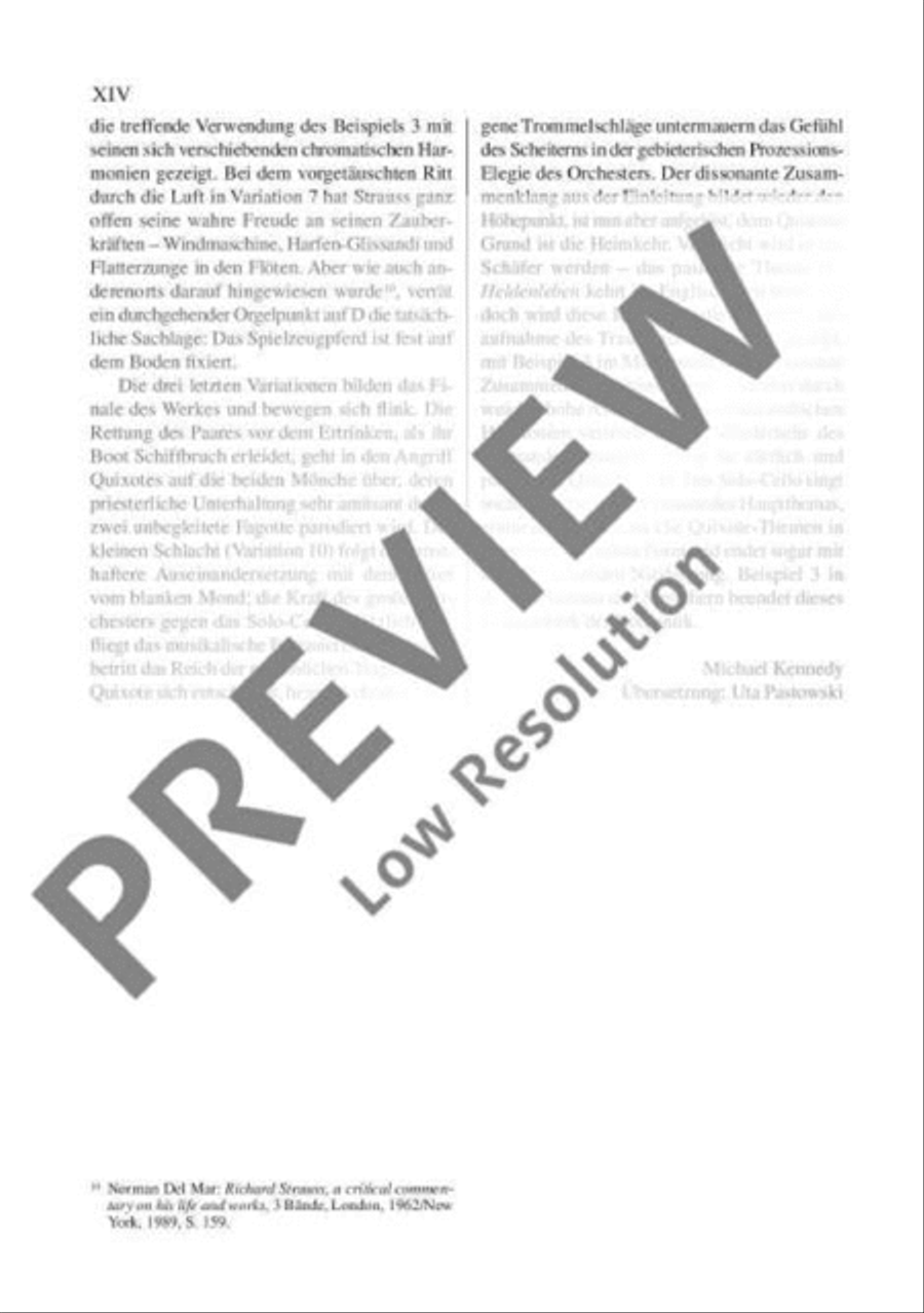 Don Quixote Orchestra scores gallery preview page 15