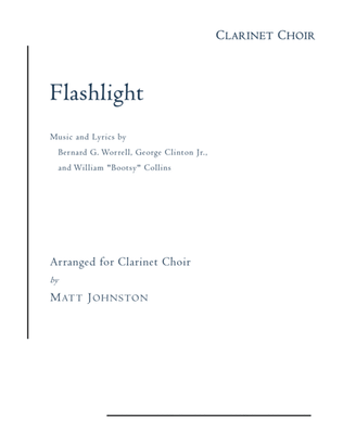 Book cover for Flashlight