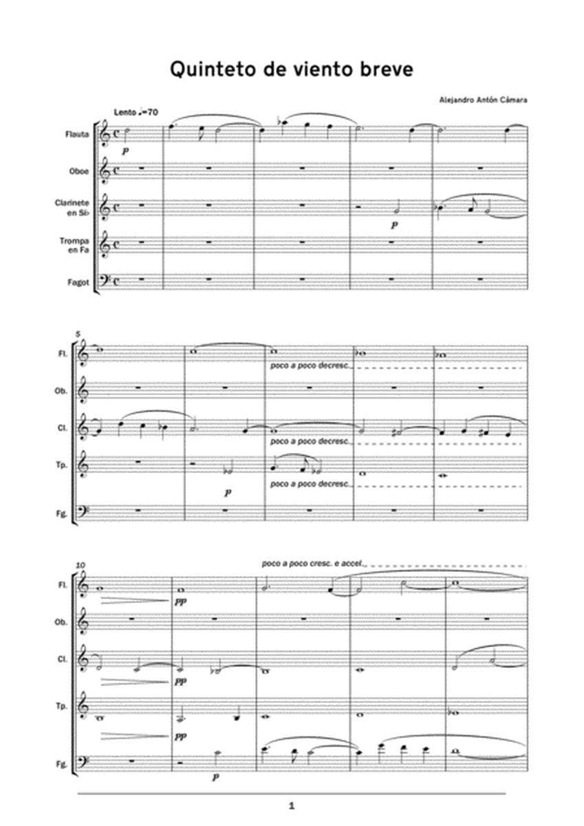 Quinteto de viento breve / Brief woodwind quintet