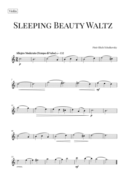 Tchaikovsky: Sleeping Beauty Waltz for Violin and Cello (String Duet) image number null