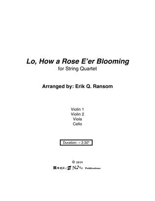 Lo, How a Rose E'er Blooming for String Quartet