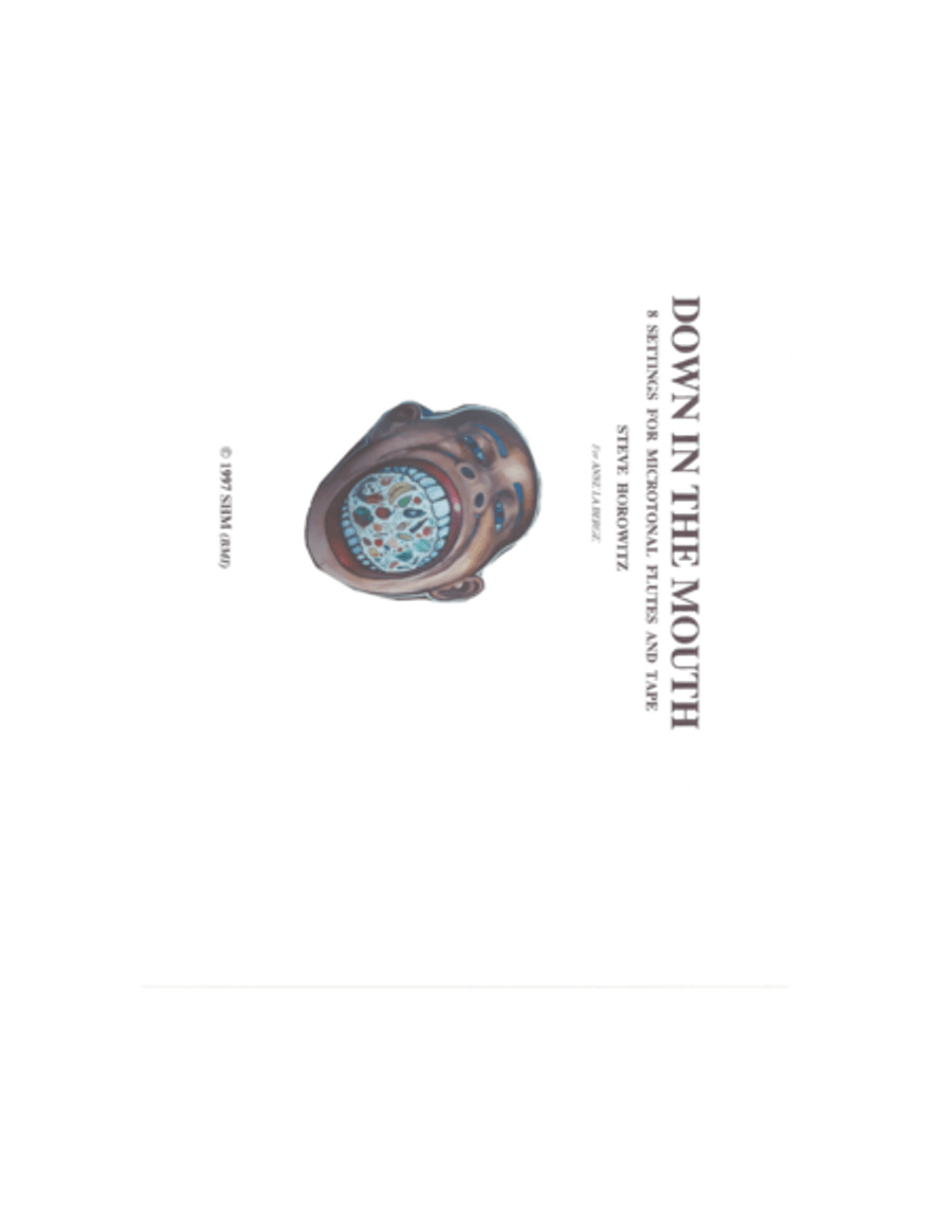 Down in the Mouth-For Microtonal Flute and Pre-Recorded Track Small Ensemble scores gallery preview page 2