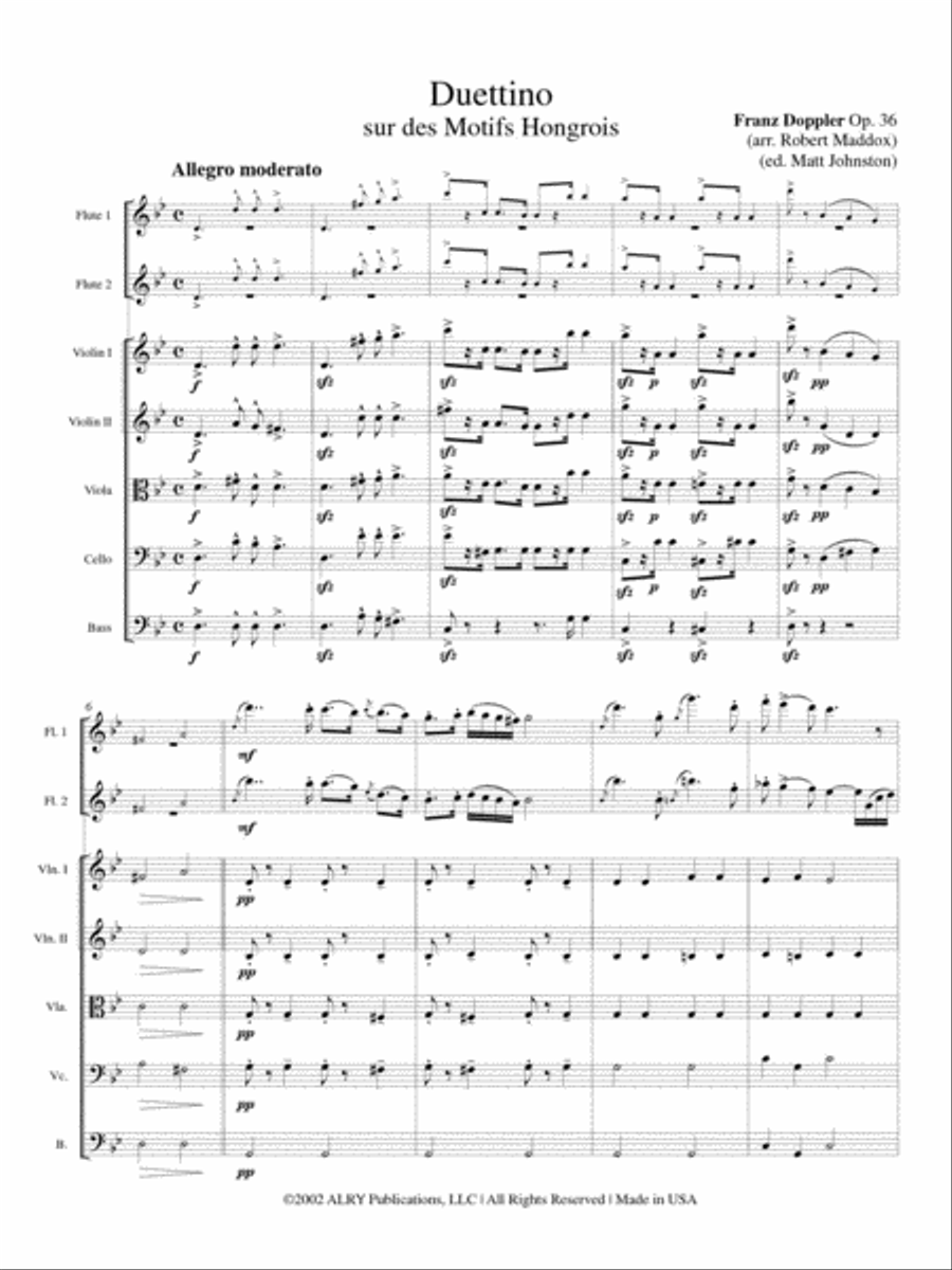Duettino sur des Motifs Hongrois, Op. 36 (Two Flutes and Strings) Flute Duet scores gallery preview page 2