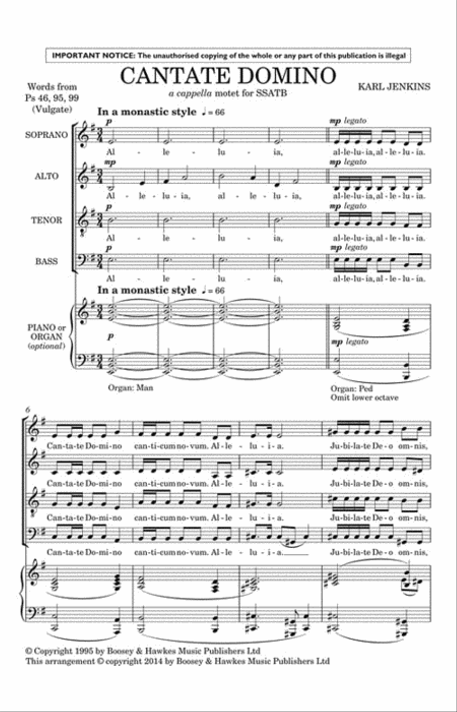 Cantate Domino from Adiemus: Songs of Sanctuary SSATB scores gallery preview page 2