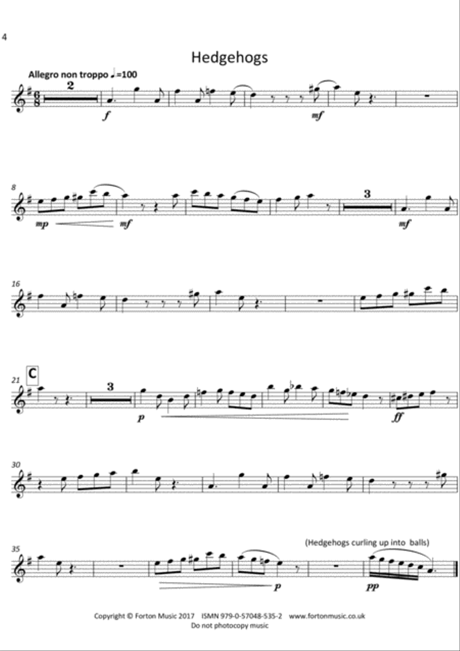 Dancing Through The Undergrowth Set of Parts scores gallery preview page 4
