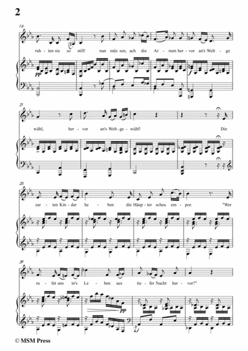 Schubert-Der Blumen Schmerz,Op.173 No.4,in c minor,for Voice&Piano image number null