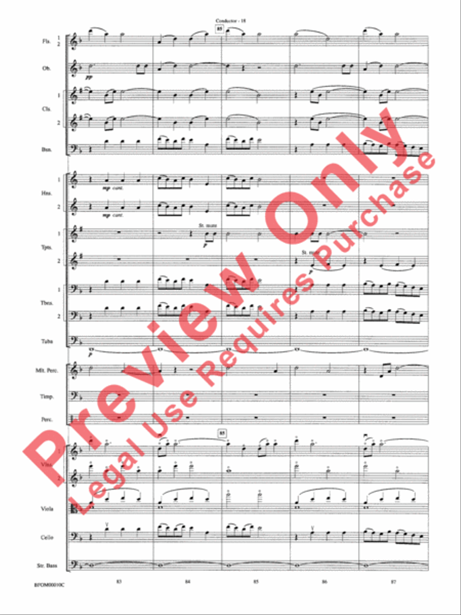 Aboriginal Rituals Full Orchestra scores gallery preview page 20
