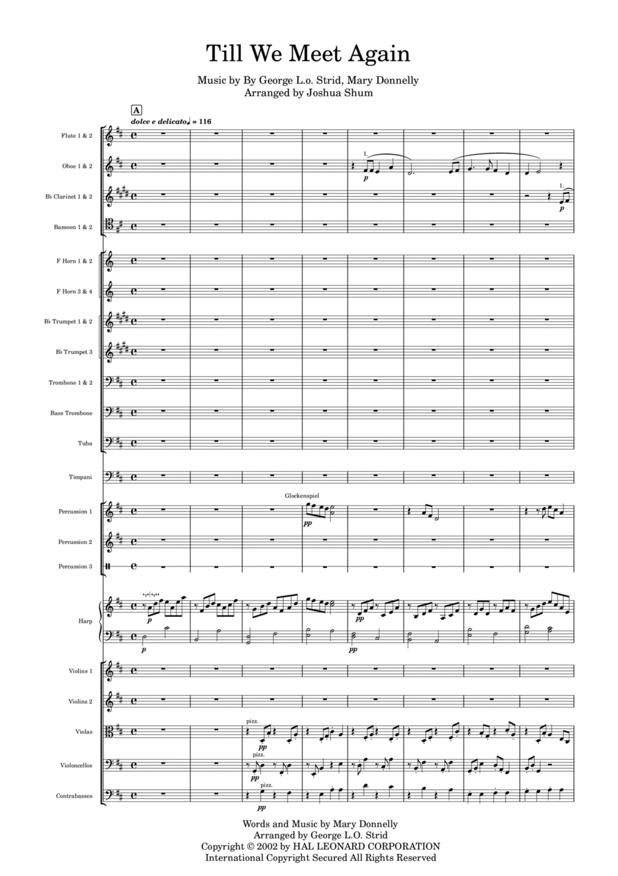 Till We Meet Again - Score Only Full Orchestra scores gallery preview page 1