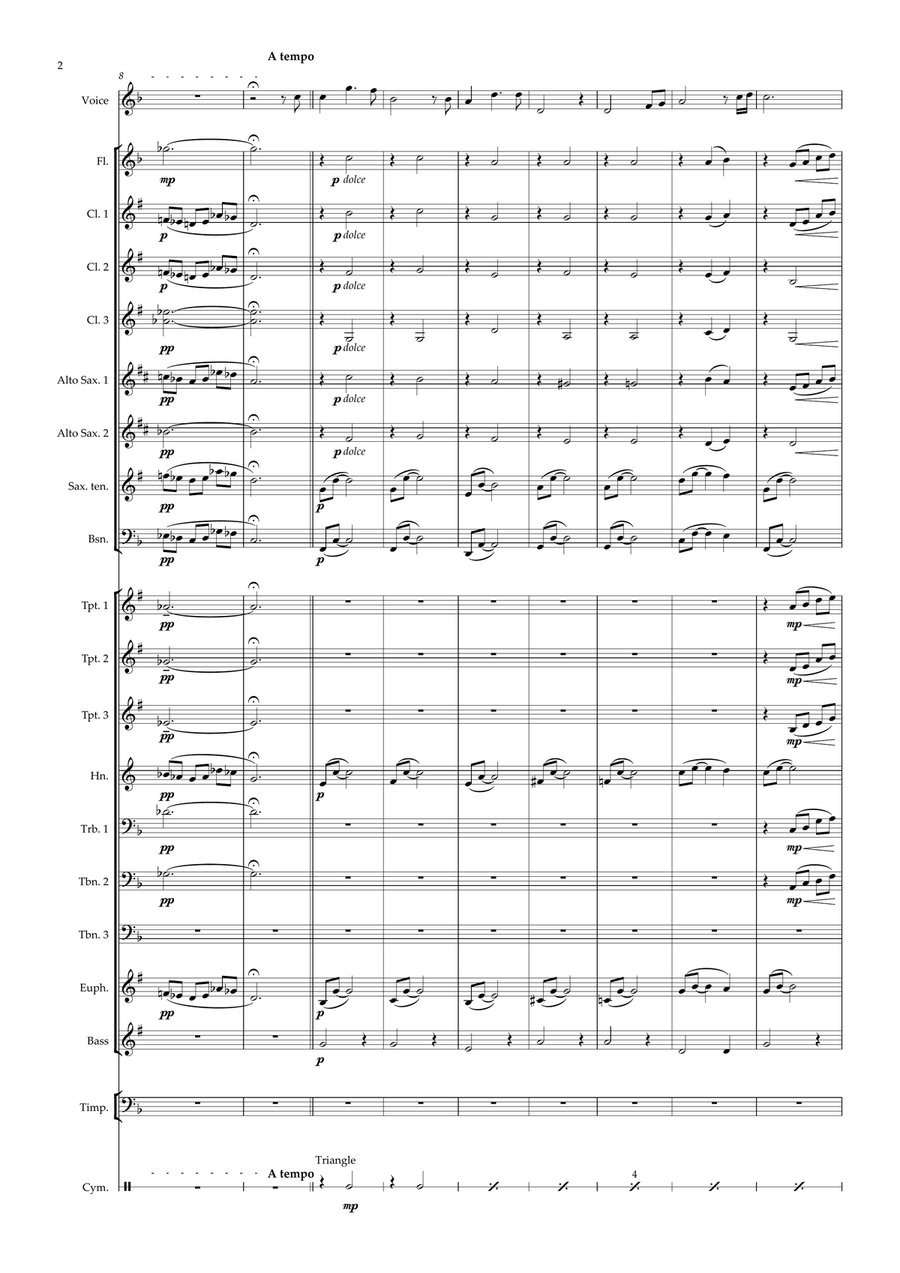 Amar Pelos Dois Concert Band scores gallery preview page 2