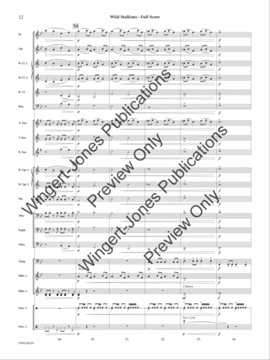 Wild Stallions (Score) Concert Band scores gallery preview page 13