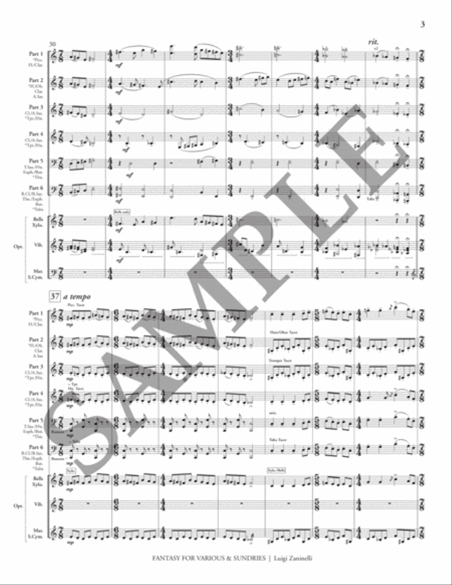 Fantasy for Various & Sundries (condensed score) Flexible/Adaptable scores gallery preview page 6
