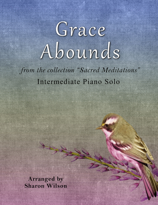 Book cover for Grace Abounds