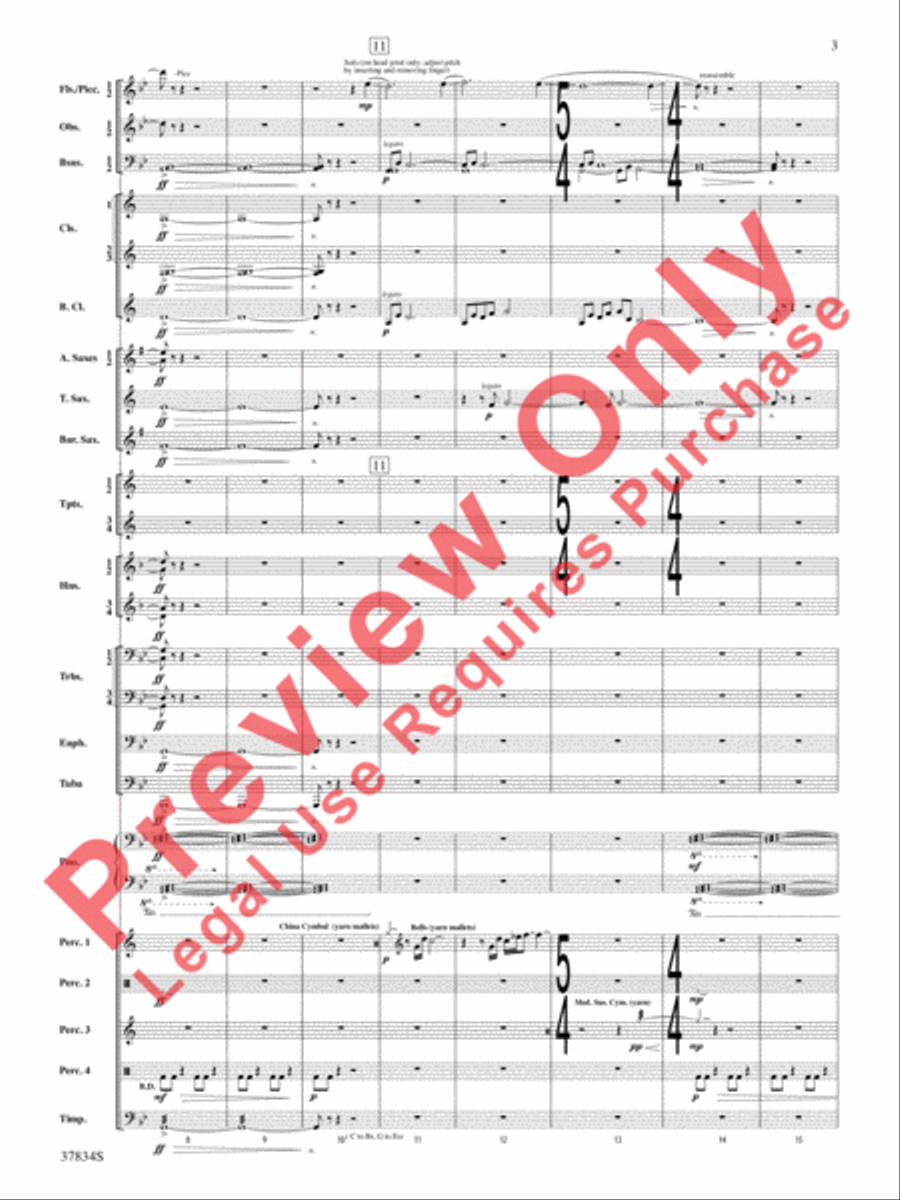 Poor Wayfaring Stranger Poor Wayfaring Stranger Concert Band scores gallery preview page 4
