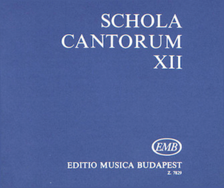 Schola Cantorum Volume 12 Two And Three Part Motets Original Lanugages