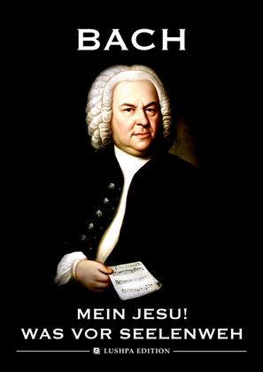 Book cover for Mein Jesu! was vor Seelenweh, BWV 487