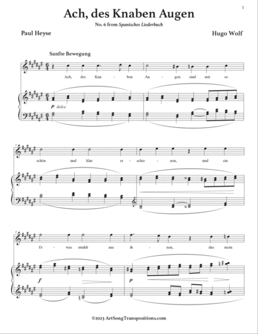 WOLF: Ach, des Knaben Augen (transposed to F-sharp major) Voice scores gallery preview page 2
