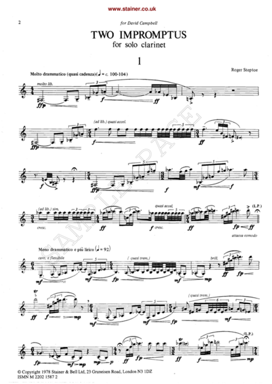 Two Impromptus for Solo Clarinet Clarinet Solo scores gallery preview page 2