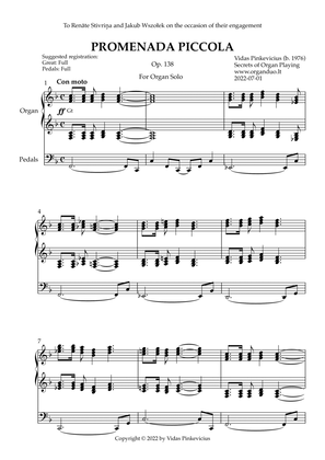 Promenada Piccola, Op. 138 (Organ Solo) by Vidas Pinkevicius (2022)