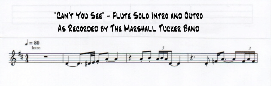 Can't You See Can't You See Flute Solo scores gallery preview page 2