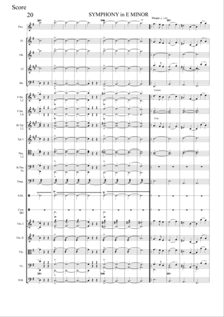 SYMPHONY in E minor 1st Movement String Orchestra scores gallery preview page 5