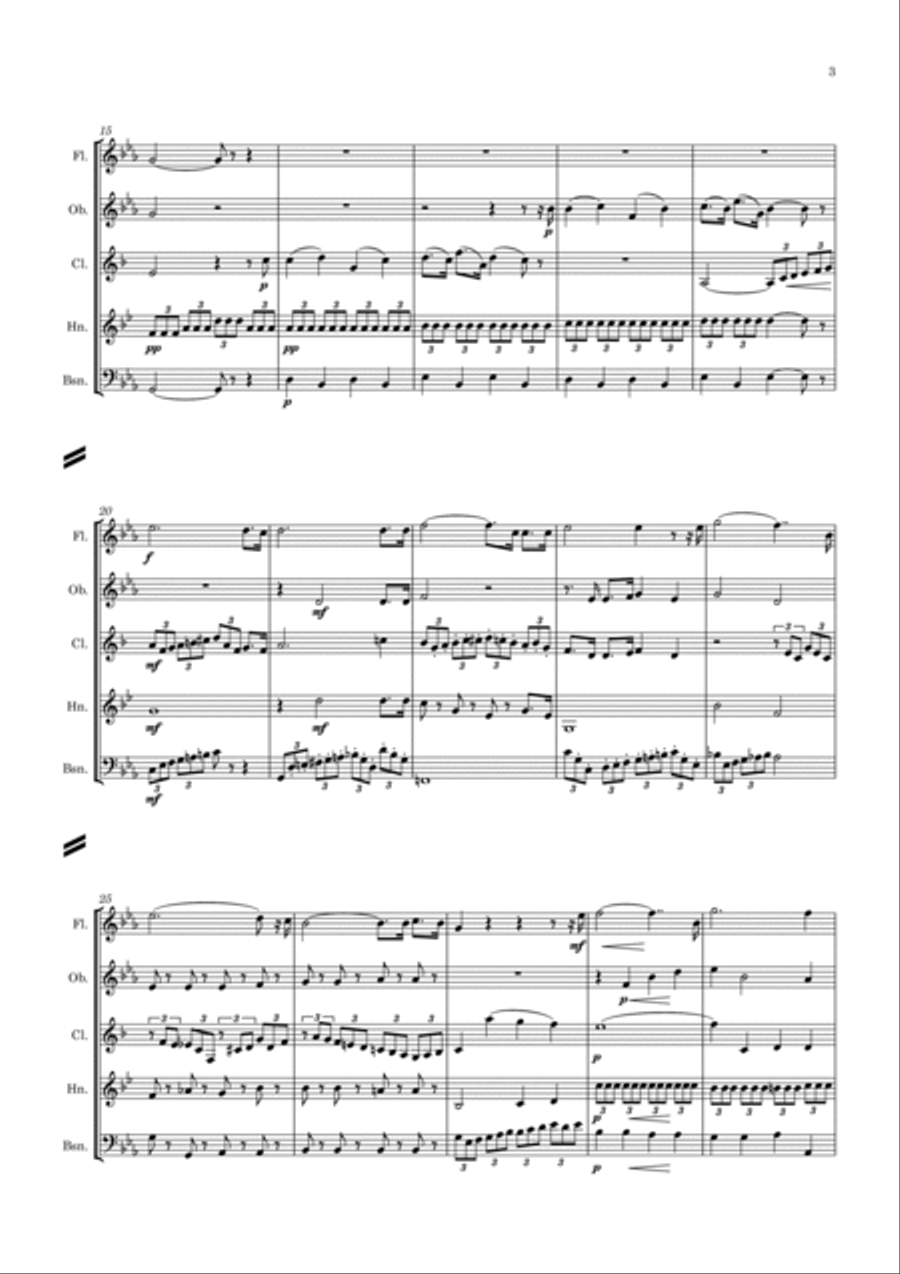 Adam: Cantique de Noël (O Holy Night) - wind quintet Woodwind Quintet scores gallery preview page 3