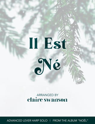Book cover for Il Est Né
