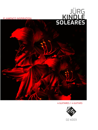 Book cover for Flamenco Inspiration - Solaeres