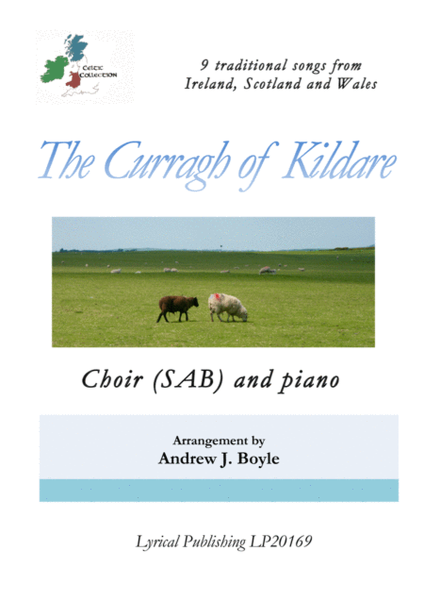 The Curragh of Kildare image number null