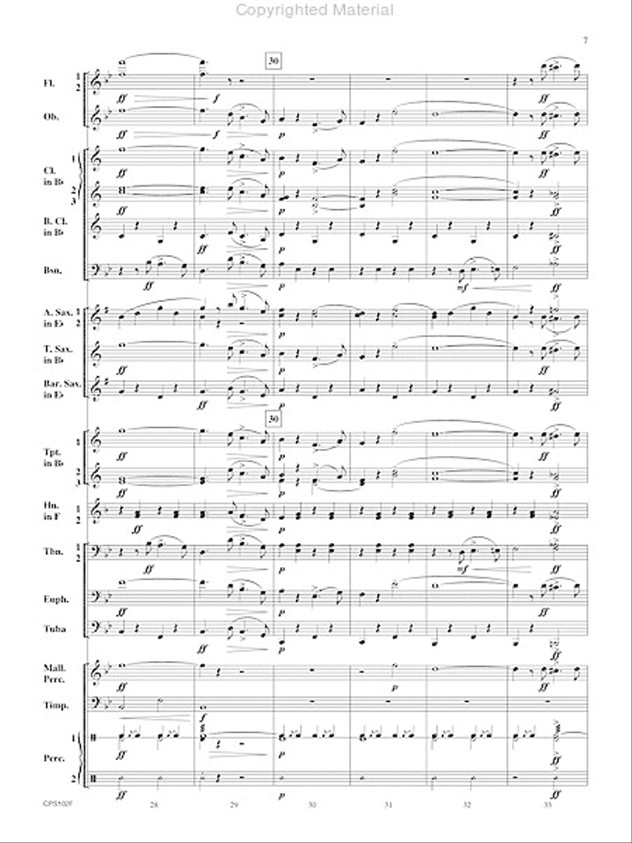 Rifle Regiment Rifle Regiment Concert Band scores gallery preview page 8