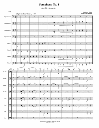 Menuetto (Mvt. III) from Symphony No. 1