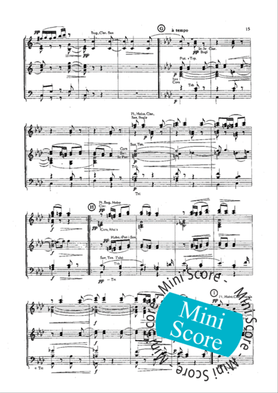 Slavische Dansen No 1,6 en 8 Concert Band scores gallery preview page 17