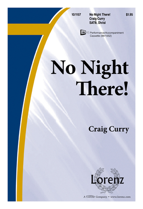 Book cover for No Night There