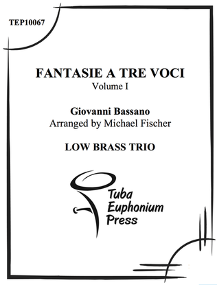 Book cover for Fantasie a tre voci (fantasie for three instruments)