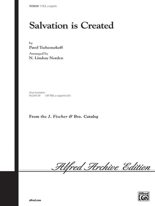Book cover for Salvation Is Created