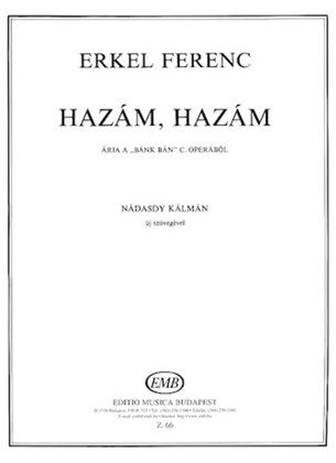 Book cover for HazAm, HazAm