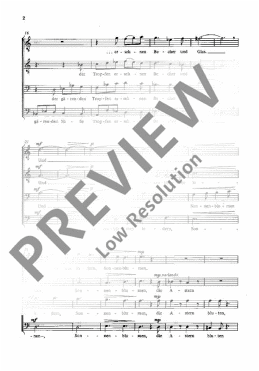 Abschiedsweben Abschiedsweben TTBB scores gallery preview page 3