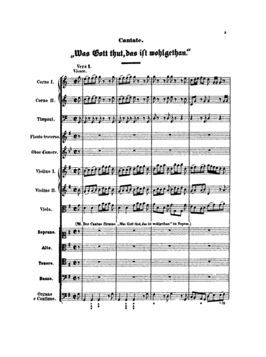 Cantatas No. 100-102