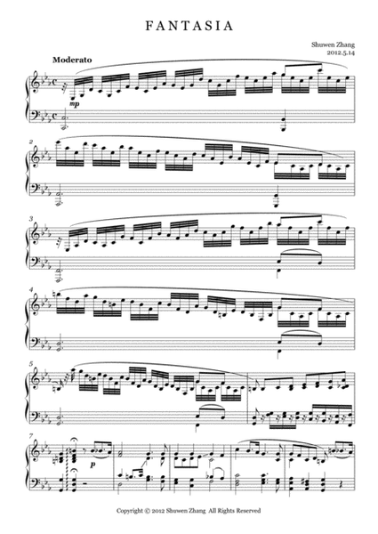 Schuwenn Z.-Fantasia in C minor image number null