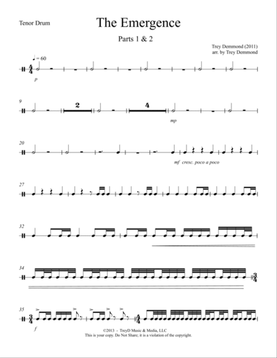 The Emergence, Parts 1 & 2 Chamber Orchestra scores gallery preview page 6