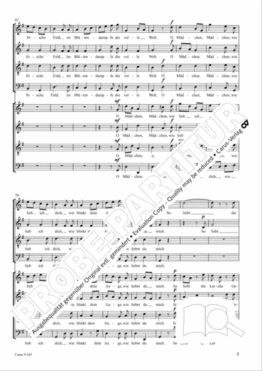Drei Lieder nach Texten von Goethe Choir scores gallery preview page 6