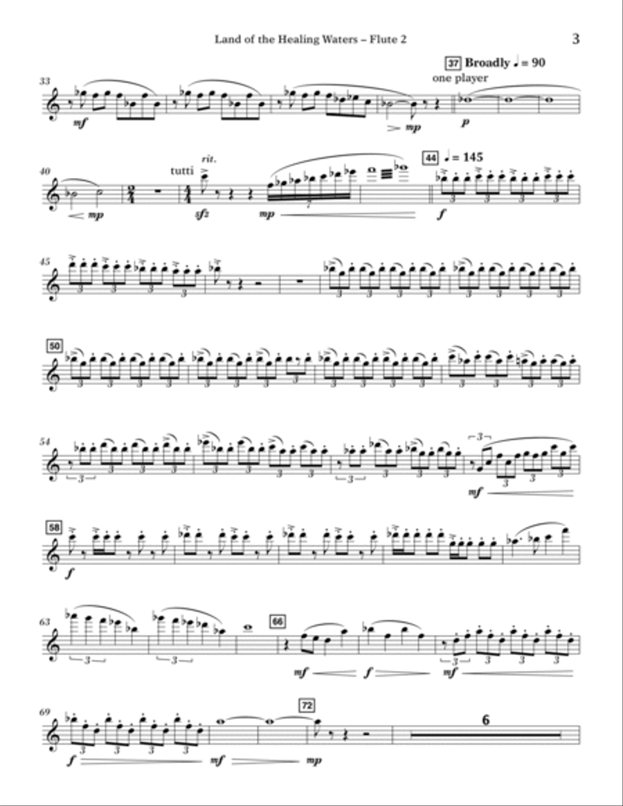 Land of the Healing Waters - Flute 2 Flute scores gallery preview page 2