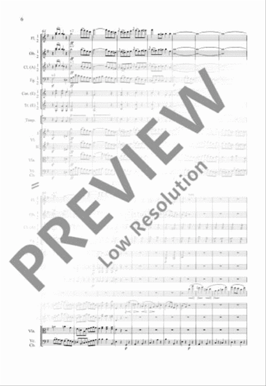 Concerto E minor Concerto E minor Orchestra scores gallery preview page 13