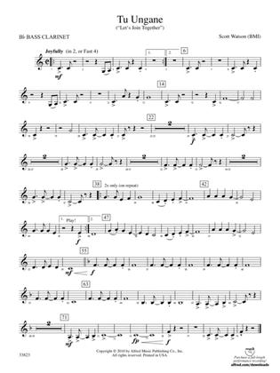 Tu Ungane: B-flat Bass Clarinet