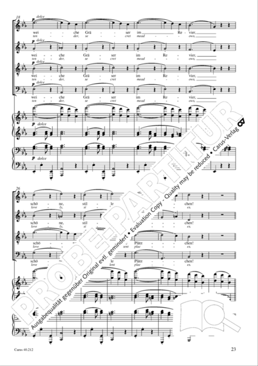 Neue Liebeslieder-Walzer, Op. 65 Choir scores gallery preview page 24